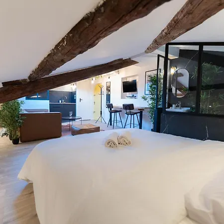 Apartment Superbe Loft - Vieux - Balneo
