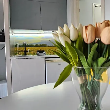 Affitto-nizza Appartement Nice
