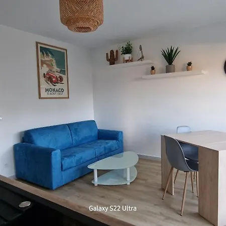 Appartement Le Petit Manseng Cimiez Le