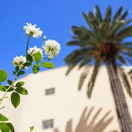 Hotel Best Western Plus Brice Garden