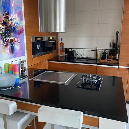 Promenade Des Center Sea And Front Design Flat With Private Garden Apartment *