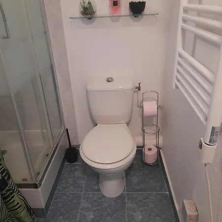 Studio Climatise, Lumineux A 5 Min De La Promenade Des Anglais Apartment