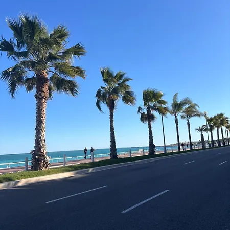 Grand De 30 M2 Promenade Des Appartement