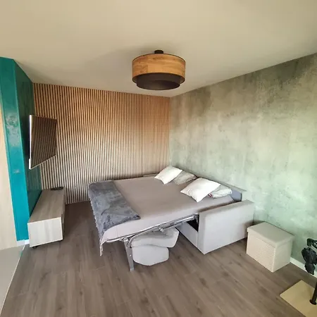Elegant Avec Acces A La Piscine Apartamento Niza