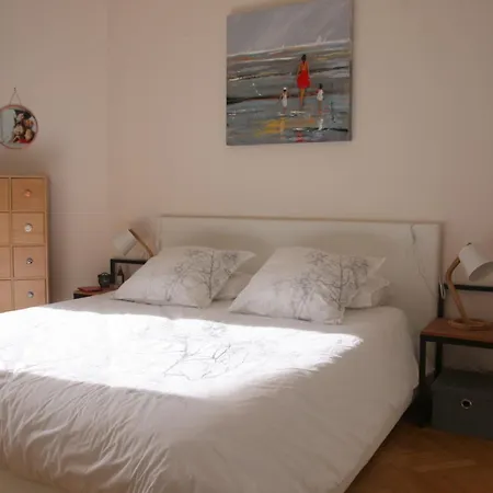 Appartement Le Joffre Nice