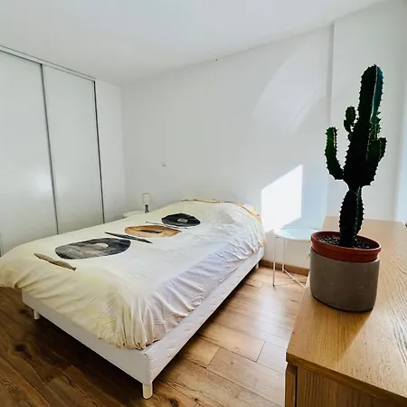 Magnificent Renovated Apartment, 2 Of 45 M2, Close Tothe Sea, Floor, Terrace * Nice