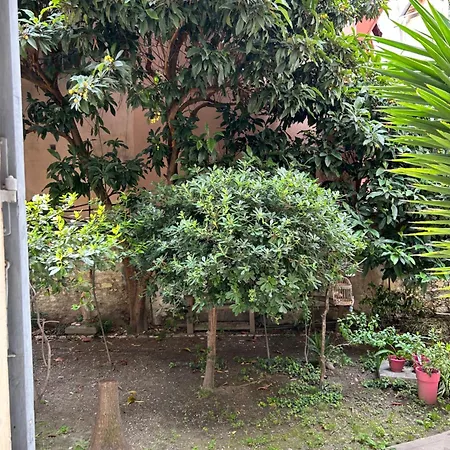 Apartment Sonice17