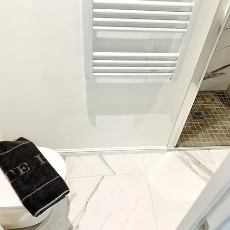 Luxuriously Furnished Bright Newly Renovated Oasis Apartment Nice