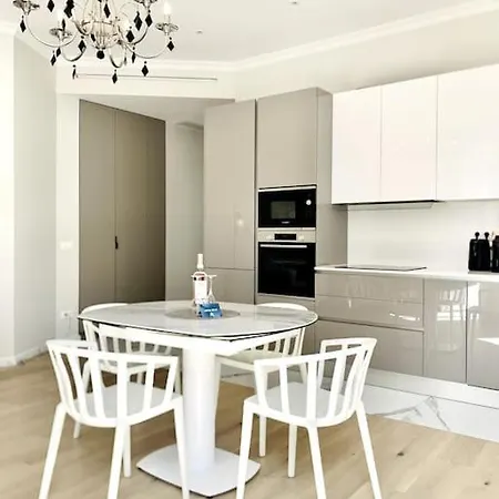 Luxuriously Furnished Bright Newly Renovated Oasis Apartment Nice