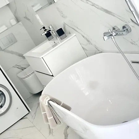 Apartment Luxuriously Furnished Bright Newly Renovated Oasis Nice