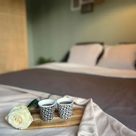 Charming Studio With Terrace Nice