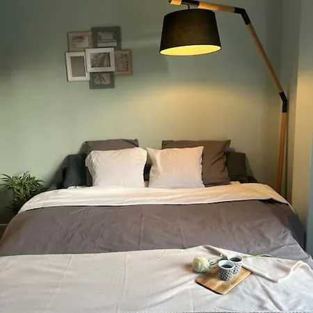 Charming Studio With Terrace * Nice