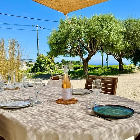 Villa Syagrus - Easy Nice