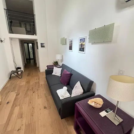 Magnifique Duplex Type Loft Apartment Nice