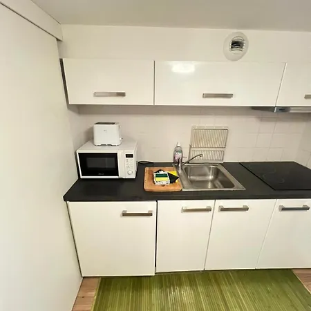 Magnifique Duplex Type Loft Apartment Nice
