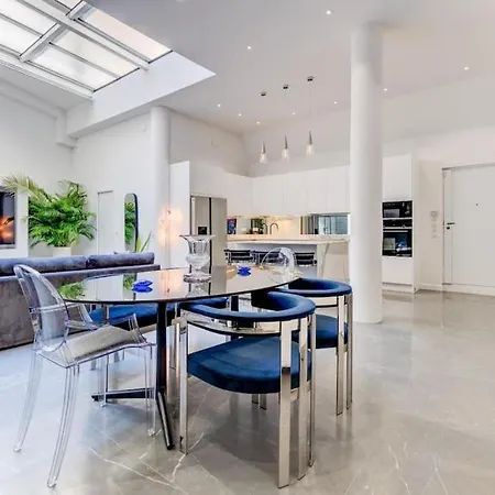 Magnifique Loft Au Coeur De Nice