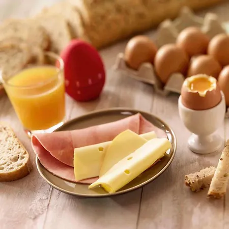 إيبيس سنتر غار 3* نيس