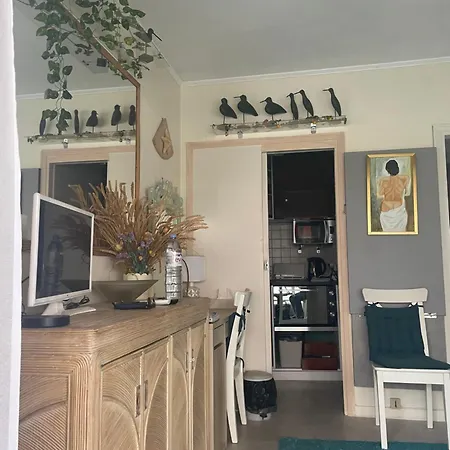 Guest house With Terrace & Rooftop Pool In Promenade Des Nice