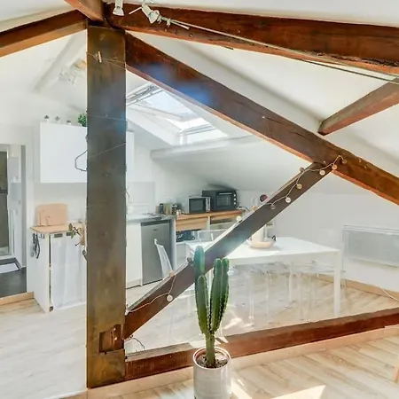 Joli Loft Mansarde Apartment