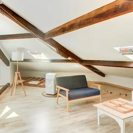 Joli Loft Mansarde Apartment *