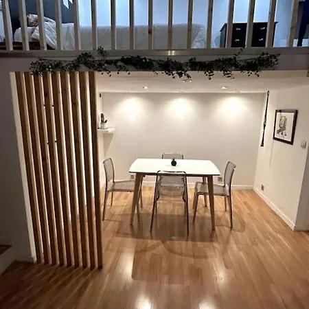 Avec Mezzanine Apartment Nice