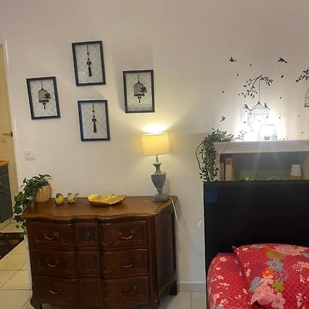 Apartment Harry Garden
