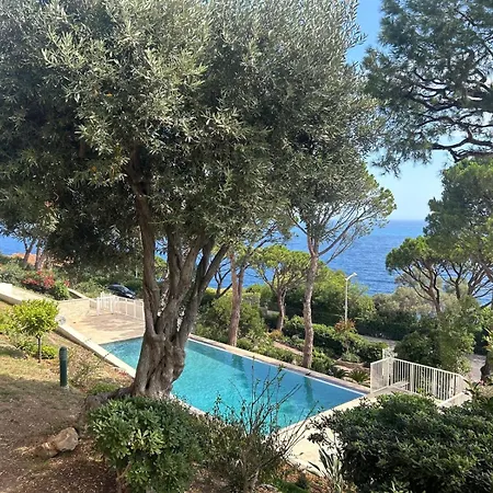 Stunning View And Pool Big Location Apartment *
