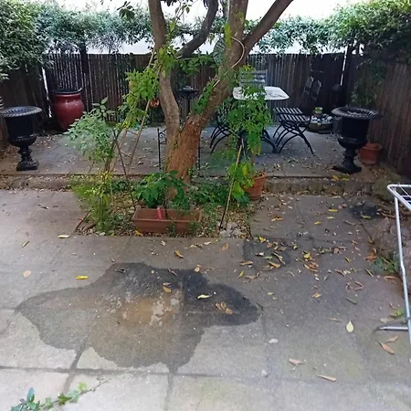 Little Garden