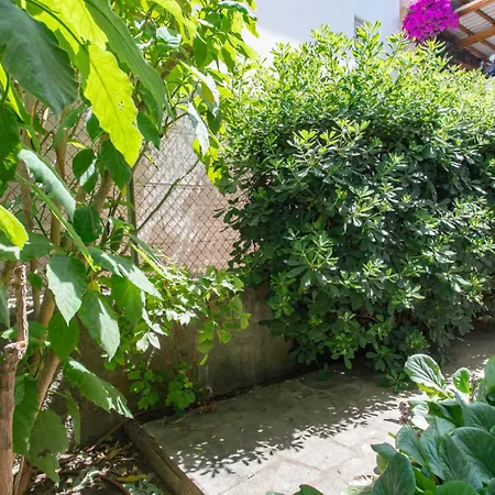 Villa #54 Sea View 4 Bdr Ac Parking 5mins To Port Bbq