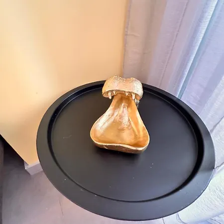 Coeur Delille Fshh Aparthotel Nice