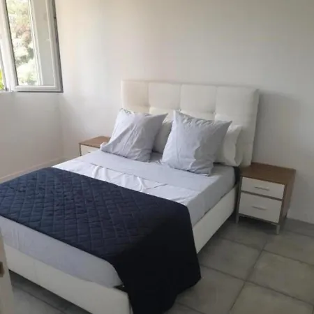 Grand Appartement, 2 Ou 3 Ou 4 Pieces, Tramway Sur Place, Proche Gare Sncf St Augustin 5 Min, Aeroport A 7 Min, Ou Allianz Riviera 10 Min, Palais Nikaia 2 Min , Supermarche Sur Place, Parking Possible Si Disponible Ou Payant A 1000 Metre Daire *