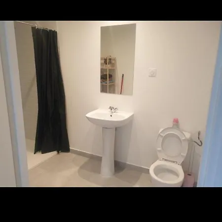 Grand Appartement, 2 Ou 3 Ou 4 Pieces, Tramway Sur Place, Proche Gare Sncf St Augustin 5 Min, Aeroport A 7 Min, Ou Allianz Riviera 10 Min, Palais Nikaia 2 Min , Supermarche Sur Place, Parking Possible Si Disponible Ou Payant A 1000 Metre Daire Nice