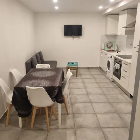 Grand Appartement, 2 Ou 3 Ou 4 Pieces, Tramway Sur Place, Proche Gare Sncf St Augustin 5 Min, Aeroport A 7 Min, Ou Allianz Riviera 10 Min, Palais Nikaia 2 Min , Supermarche Sur Place, Parking Possible Si Disponible Ou Payant A 1000 Metre Daire *