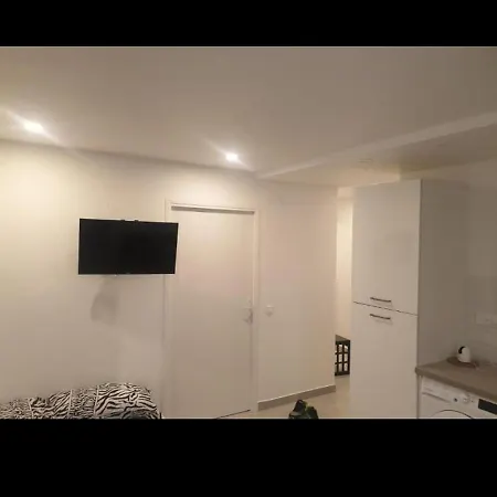 Grand Appartement, 2 Ou 3 Ou 4 Pieces, Tramway Sur Place, Proche Gare Sncf St Augustin 5 Min, Aeroport A 7 Min, Ou Allianz Riviera 10 Min, Palais Nikaia 2 Min , Supermarche Sur Place, Parking Possible Si Disponible Ou Payant A 1000 Metre *