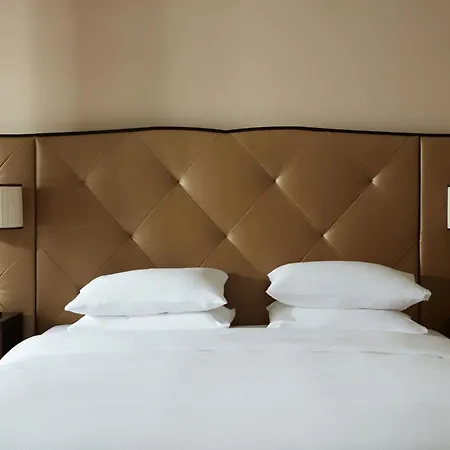 Hyatt Regency Palais De La Méditerranée Hotel