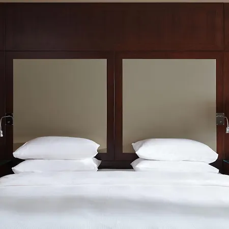 Hotel Hyatt Regency Palais De La Méditerranée 5*