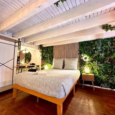 Jungle Avec Jaccuzi Au Coeur De Apartment Nice