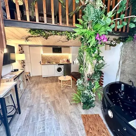 Jungle Avec Jaccuzi Au Coeur De Apartment