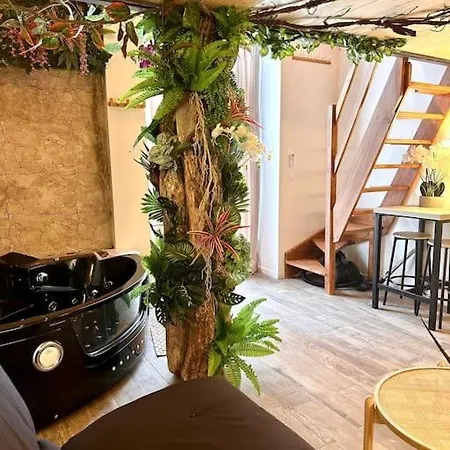 Jungle Avec Jaccuzi Au Coeur De Nice