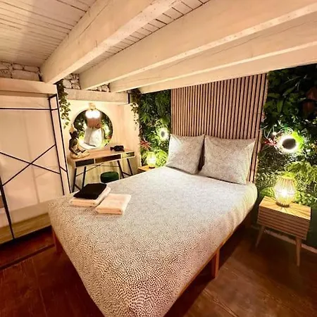 Apartment Jungle Avec Jaccuzi Au Coeur De