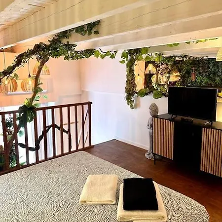 Jungle Avec Jaccuzi Au Coeur De Apartment *
