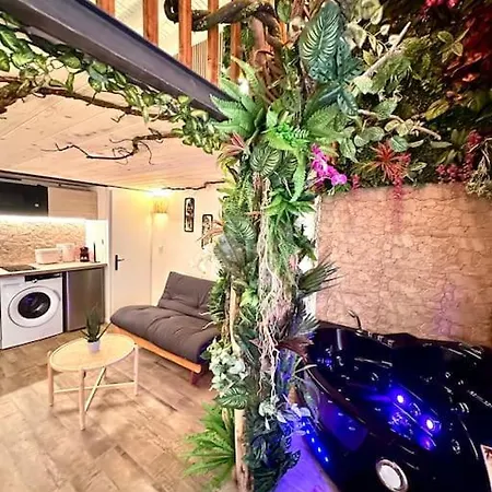 Jungle Avec Jaccuzi Au Coeur De Apartment Nice