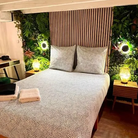 Apartment Jungle Avec Jaccuzi Au Coeur De