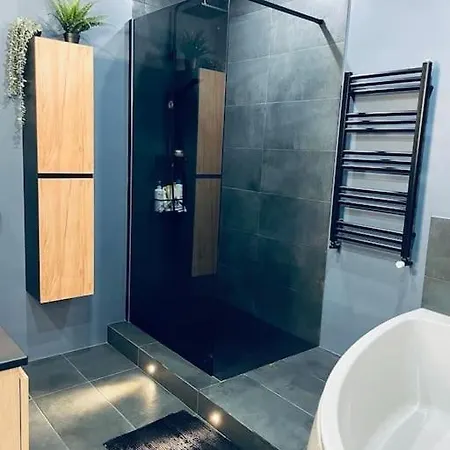 Luxueux Appartement, Carre D'or, Square Mozart Apartment