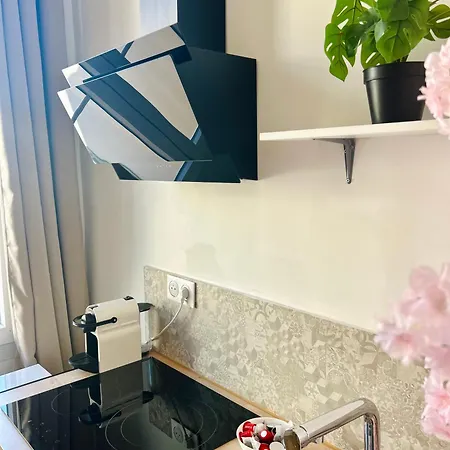公寓式酒店 Les Orangers 尼斯