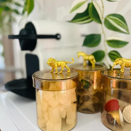 Les Orangers 公寓式酒店 尼斯