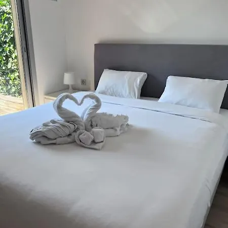 Le Bijou De Valrose - 4 Bedroom With Pool Nice