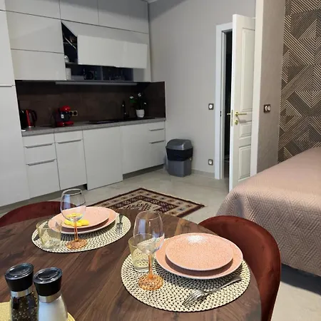 Apartment Extraordinaire Grand Au Centre 6 Minutes A Pied De La Et L'hotel Negresco *