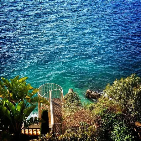 Heart Of The Old Nice