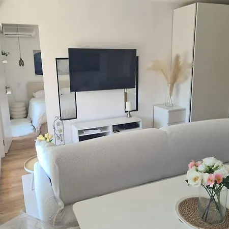 Superbe Luxueux Spacieux 50 M2 Port Apartment